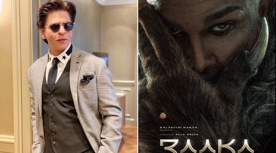 এবার আল্লু অর্জুনের নতুন সিনেমায় দেখা যাবে শাহরুখ খানকে