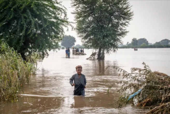 জলবায়ুজনিত ৩ ঝুঁকিতে বিশ্বের প্রায় অর্ধেক শিশু: ইউনিসেফ