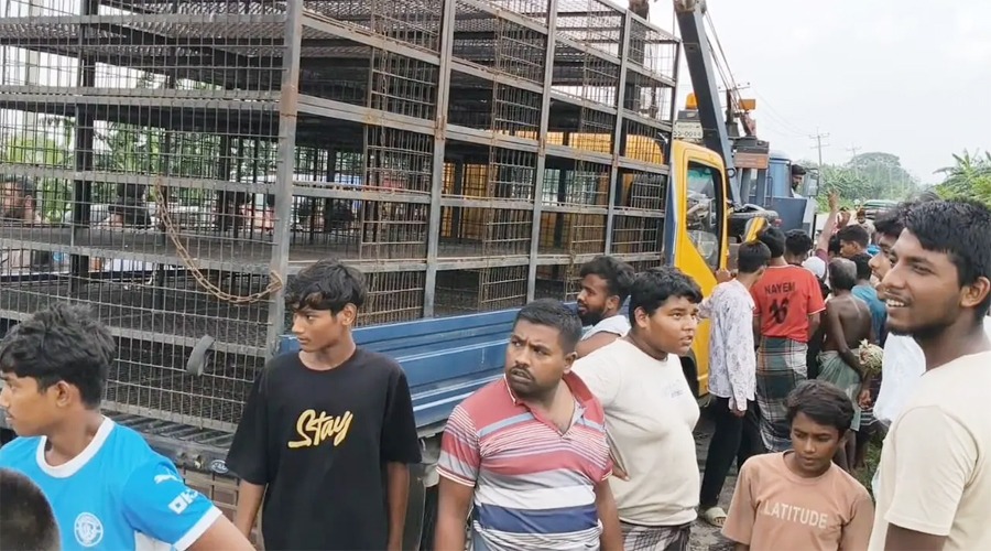 নরসিংদীতে সড়ক দুর্ঘটনায় দুই এইচএসসি পরীক্ষার্থীসহ নিহত ৩