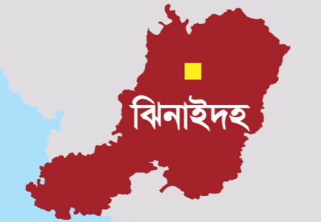 মহেশপুর সীমান্তে বিএসএফের রাবার বুলেটে আহত বাংলাদেশি