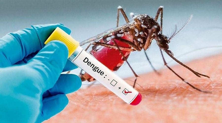 ডেঙ্গুতে আরও ২ মৃত্যু, হাসপাতালে ভর্তি ৬৭১