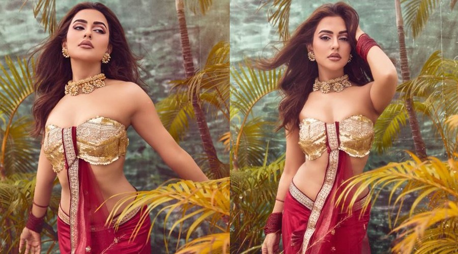 যে কারণে ‘ট্রাইব্যুনাল’ থেকে সরে দাঁড়ালেন নুসরাত