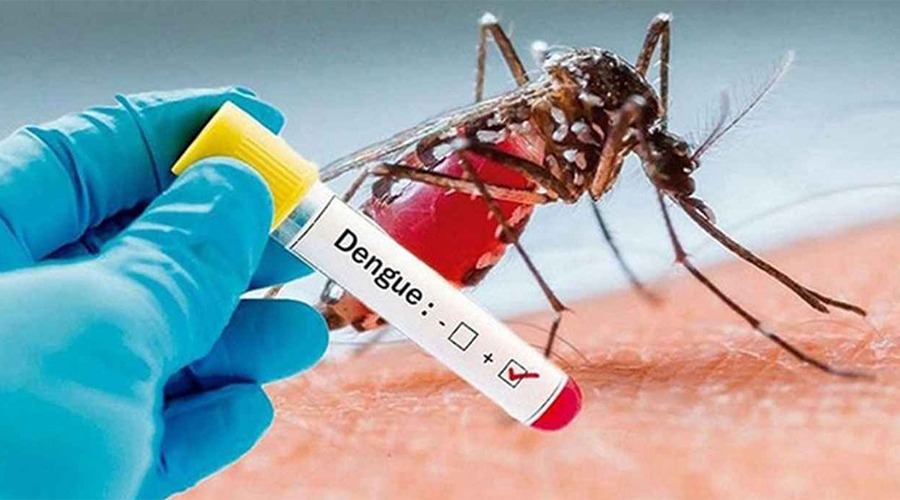 ডেঙ্গুতে আক্রান্ত হয়ে আরও ৬ জনের মৃত্যু