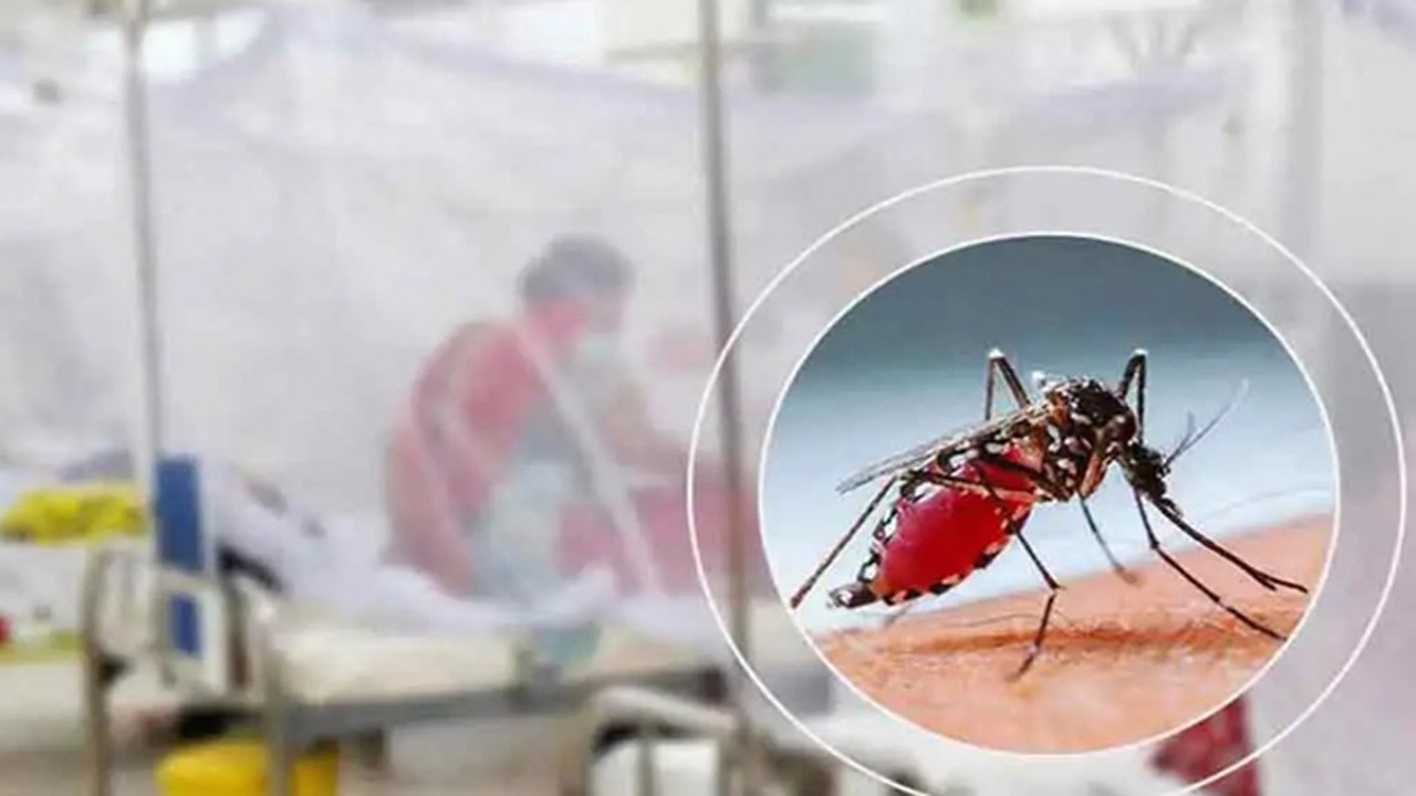 ২৪ ঘন্টায় ডেঙ্গুতে আরও ১ জনের মৃত্যু