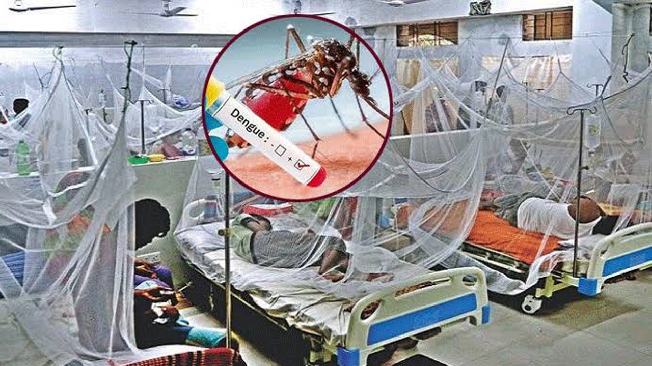 গত ২৪ ঘন্টায় ডেঙ্গুতে আরও ৭ জনের মৃত্যু, হাসপাতালে ভর্তি ১৮৭২