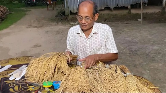 আধুনিক গবেষণাগার ছাড়াই ধানের ২৫ নতুন জাত উদ্ভাবন করলেন নালিতাবাড়ীর সেন্টু হাজং