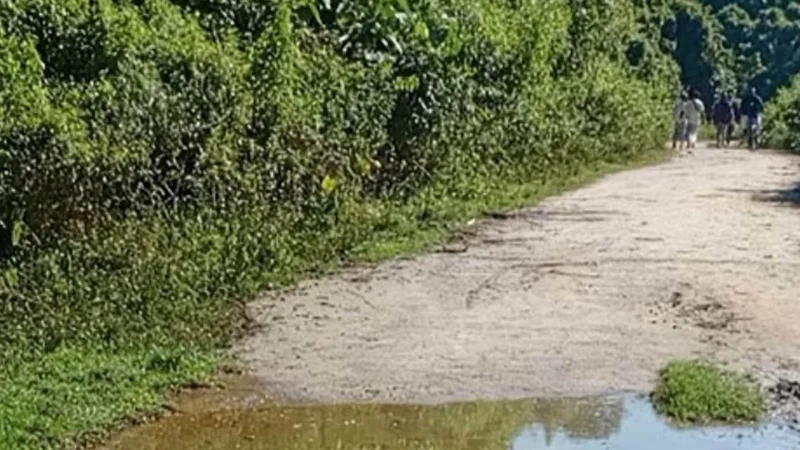 চার দিন আগে চাঁদা না দেওয়ায় কৃষকের দুই হাত কেটে নৃশংস হত্যা