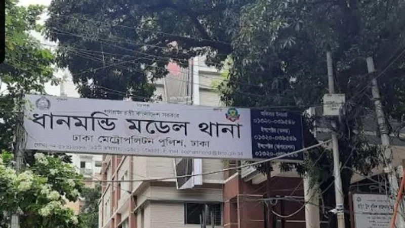সকালের নাস্তায় ডিম ভাজি না দেওয়ায় ঘুমন্ত মাকে নির্মমভাবে খুন করল ছেলে